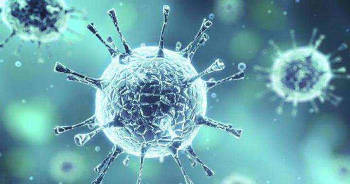 ویروس ها اشکال حیات غیر سلولی هستند